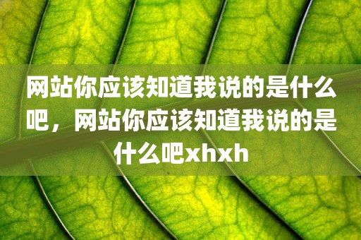 网站你应该知道我说的是什么吧，网站你应该知道我说的是什么吧xhxh