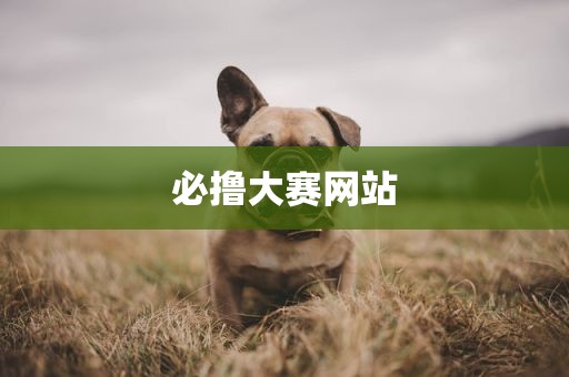 必撸大赛网站