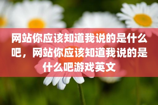 网站你应该知道我说的是什么吧，网站你应该知道我说的是什么吧游戏英文