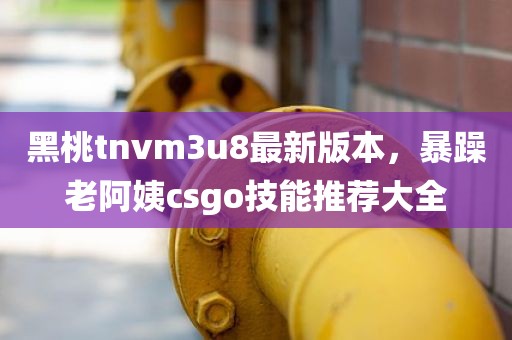 黑桃tnvm3u8最新版本，暴躁老阿姨csgo技能推荐大全