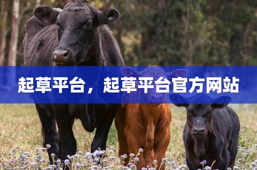 起草平台，起草平台官方网站