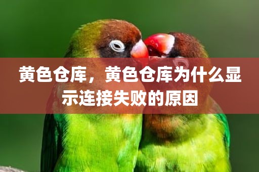 黄色仓库，黄色仓库为什么显示连接失败的原因