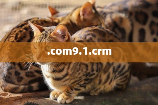 .com9.1.crm