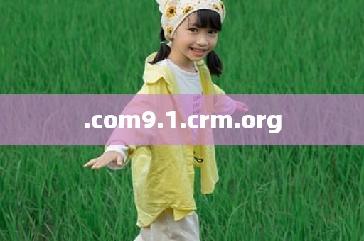 .com9.1.crm.org