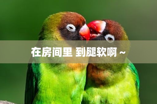 在房间里 到腿软啊～