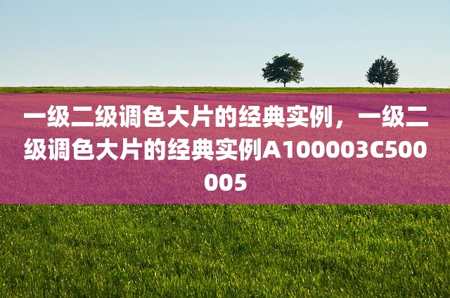 一级二级调色大片的经典实例，一级二级调色大片的经典实例A100003C500005