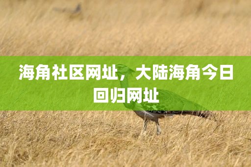 海角社区网址，大陆海角今日回归网址