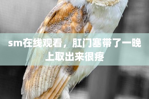 sm在线观看，肛门塞带了一晚上取出来很疼