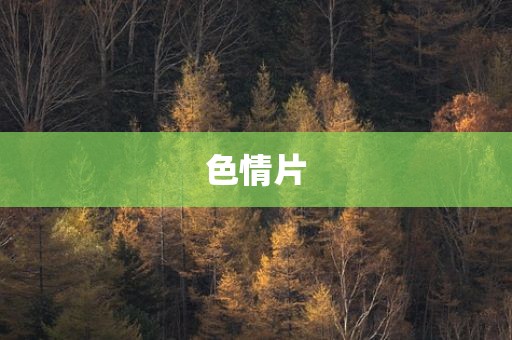 色情片
