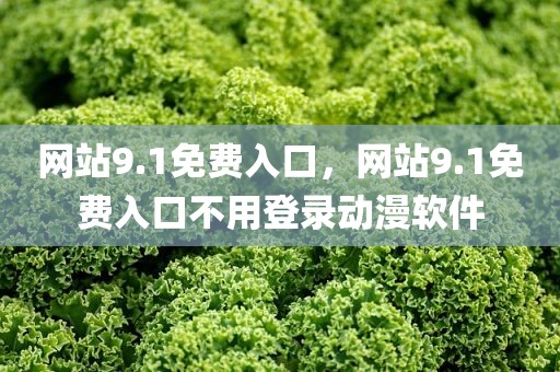 网站9.1免费入口，网站9.1免费入口不用登录动漫软件