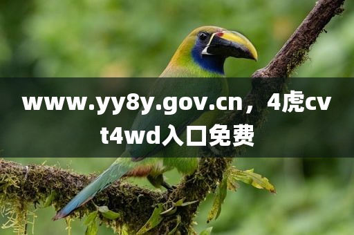 www.yy8y.gov.cn，4虎cvt4wd入口免费