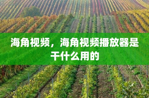 海角视频，海角视频播放器是干什么用的