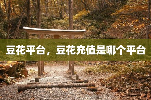 豆花平台，豆花充值是哪个平台