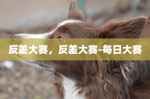 反差大赛，反差大赛-每日大赛