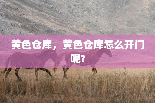 黄色仓库，黄色仓库怎么开门呢?
