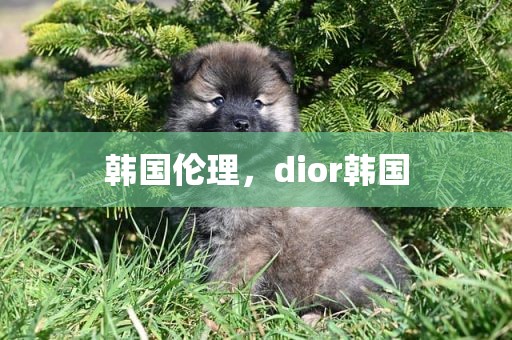 韩国伦理，dior韩国