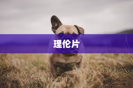 理伦片