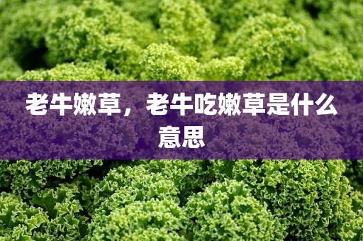 老牛嫩草，老牛吃嫩草是什么意思