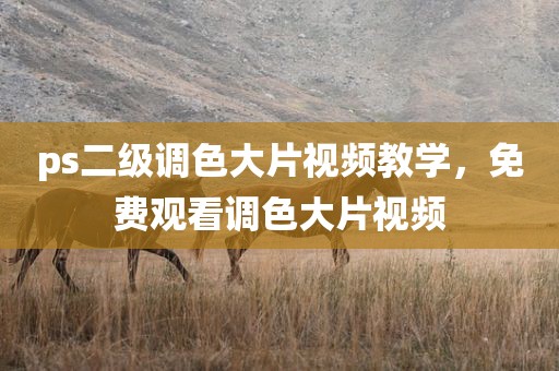 ps二级调色大片视频教学，免费观看调色大片视频