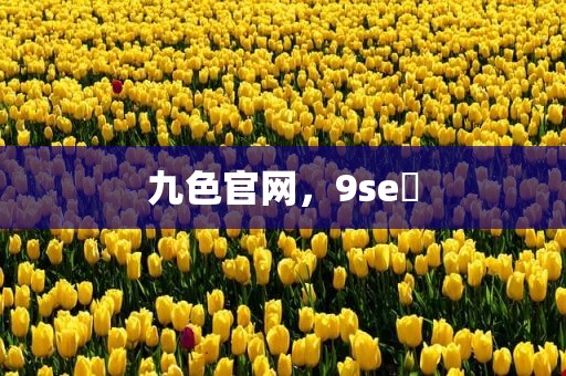 九色官网，9se 