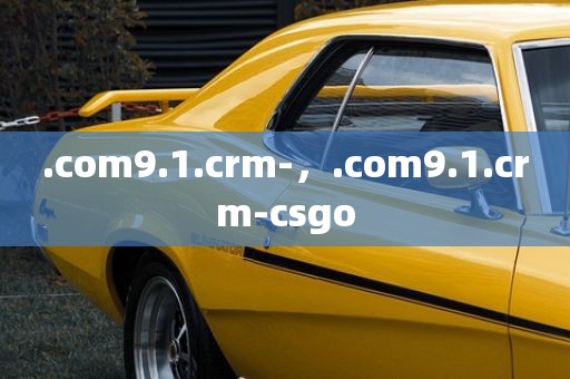 .com9.1.crm-，.com9.1.crm-csgo