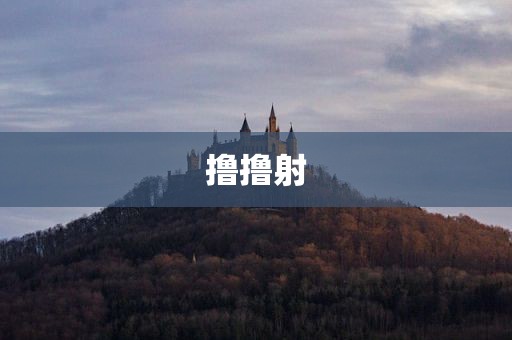 撸撸射