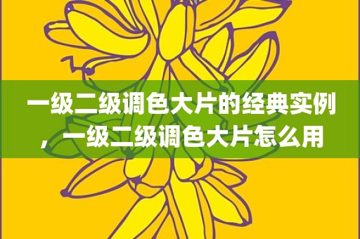 一级二级调色大片的经典实例，一级二级调色大片怎么用