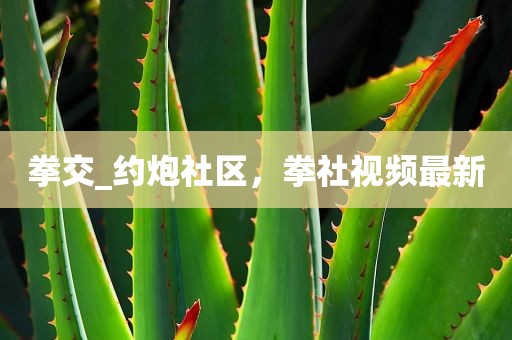 拳交_约炮社区，拳社视频最新