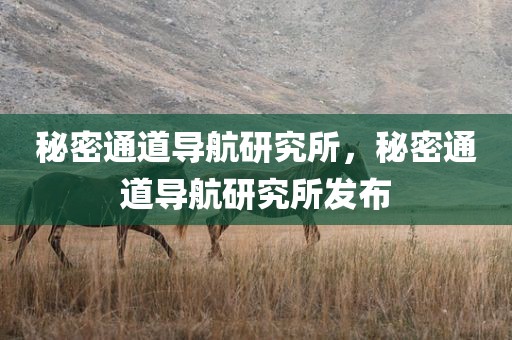 秘密通道导航研究所，秘密通道导航研究所发布