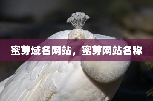 蜜芽域名网站，蜜芽网站名称