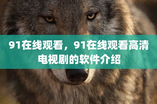 91在线观看，91在线观看高清电视剧的软件介绍
