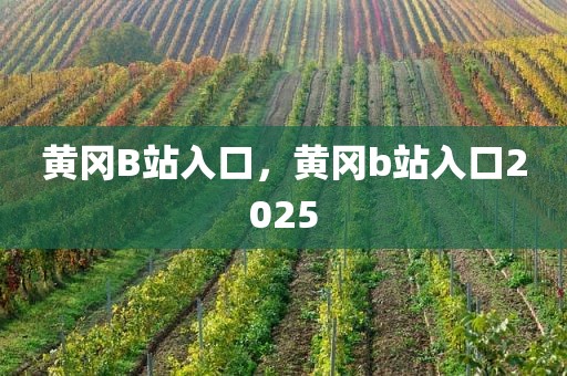 黄冈B站入口，黄冈b站入口2025