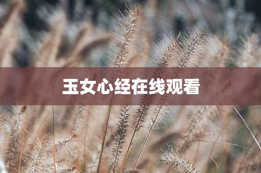 玉女心经在线观看
