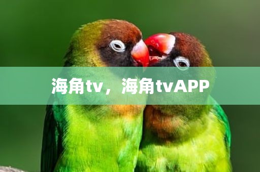 海角tv，海角tvAPP