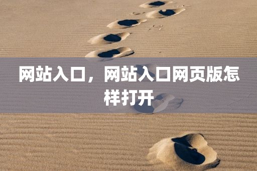 网站入口，网站入口网页版怎样打开