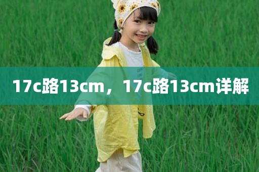 17c路13cm，17c路13cm详解