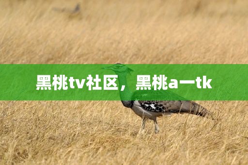 黑桃tv社区，黑桃a一tk