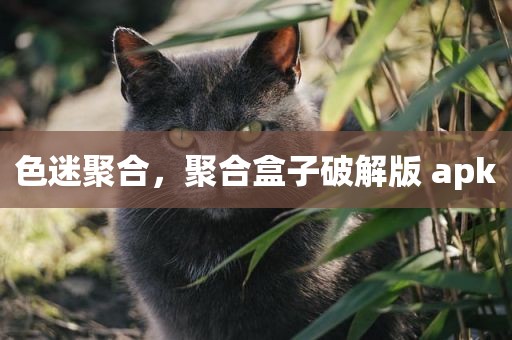 色迷聚合，聚合盒子破解版 apk