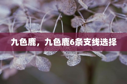 九色鹿，九色鹿6条支线选择