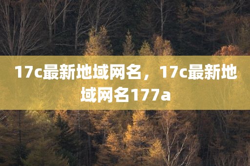 17c最新地域网名，17c最新地域网名177a