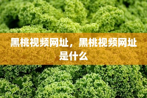 黑桃视频网址，黑桃视频网址是什么