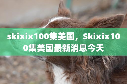 skixix100集美国，Skixix100集美国最新消息今天