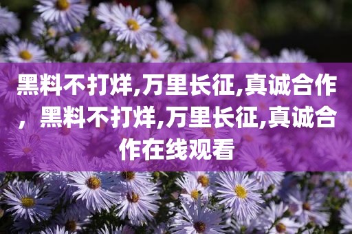 黑料不打烊,万里长征,真诚合作，黑料不打烊,万里长征,真诚合作在线观看