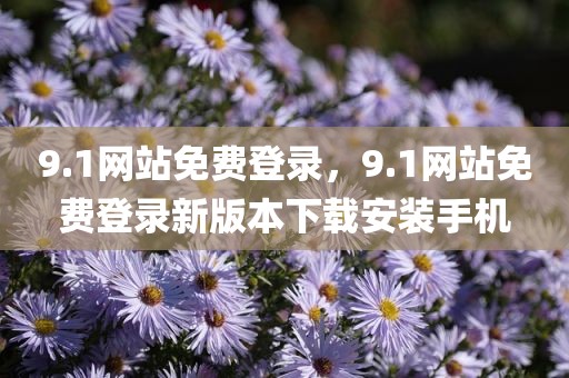 9.1网站免费登录，9.1网站免费登录新版本下载安装手机