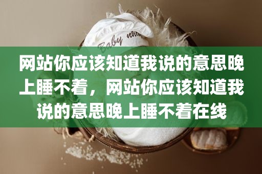 网站你应该知道我说的意思晚上睡不着，网站你应该知道我说的意思晚上睡不着在线