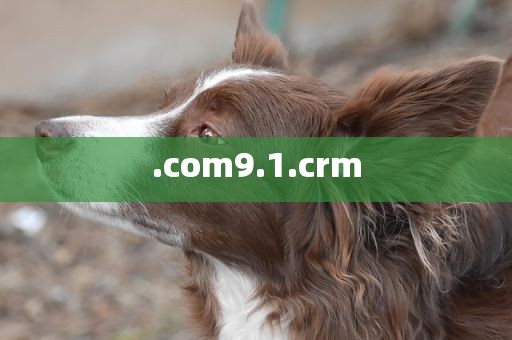 .com9.1.crm