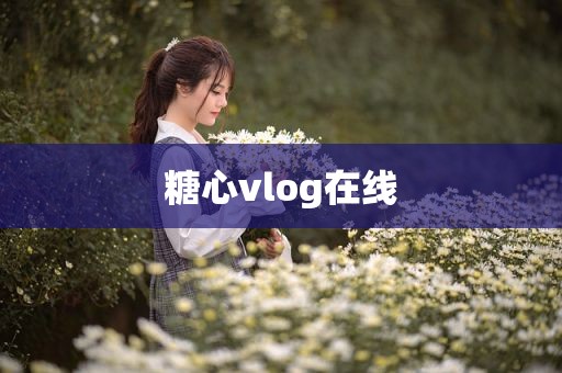 糖心vlog在线