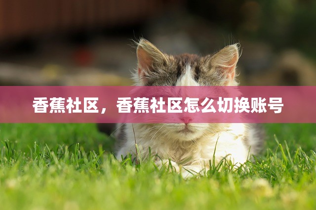 香蕉社区，香蕉社区怎么切换账号