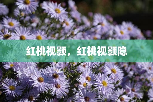 红桃视颢，红桃视颢隐