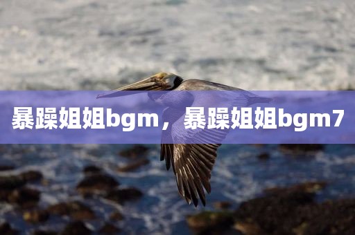 暴躁姐姐bgm，暴躁姐姐bgm7